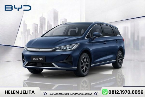 BYD M6